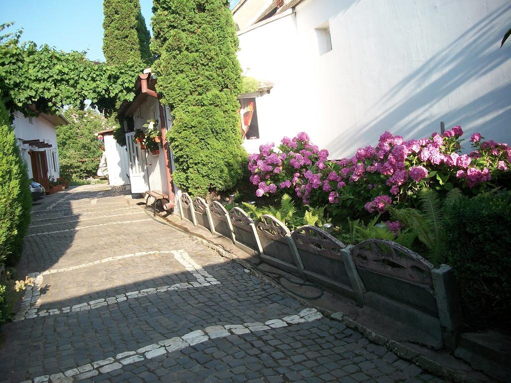 Casa Sara Hotel Săcele Exterior foto